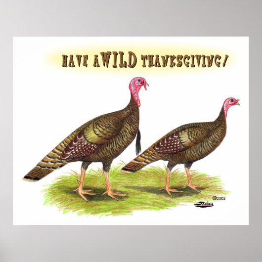 Thanksgiving wilde kalkoenen poster (Voorkant)