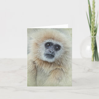 Thankyou Card Bedankkaart