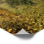 Thann in Autumn, Alsace, Frankrijk Poster (Hoek)