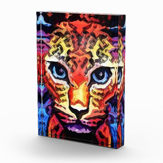 That Colorful Leopard Look  Fotoblokken (Rechts)