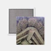 Thatch Roof, Rumsiskes Museum, LITOUWEN - Magneet (Voorkant / Achterkant)