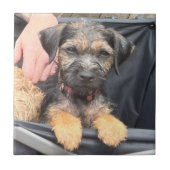 Thatch Tegeltje (Voorkant)