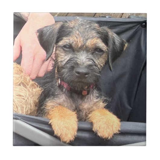 Thatch Tegeltje (Voorkant)