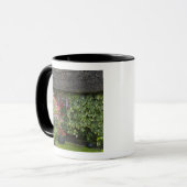 Thatched cottage, Adare, County Limerick Mok (Voorkant links)