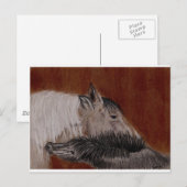 That's the Spot Briefkaart (Voorkant / Achterkant)