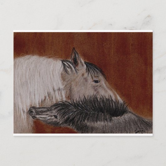 That's the Spot Briefkaart (Voorkant)