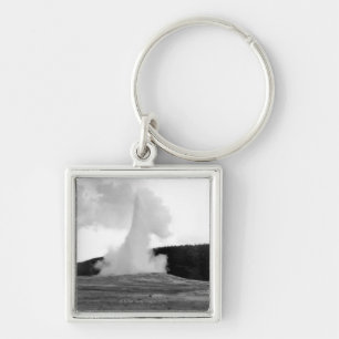 THC0024311 SLEUTELHANGER