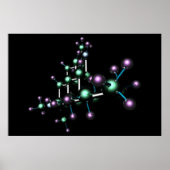 THC #6 POSTER (Voorkant)