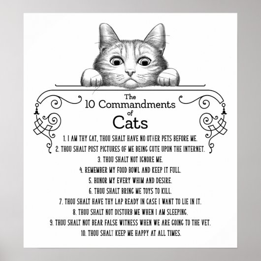 The 10 Commandments of Cats Funny Poster (Voorkant)