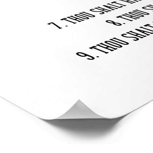 The 10 Commandments of Cats Funny Poster (Hoek)