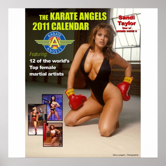The_2011_Karate_Angels_Calendar Poster (Voorkant)