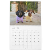 The 2026 Starbox Dachshunds Calendar Kalender (Mar 2026)
