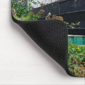 The Abandoned TSS Duke of Lancaster Ship Muismat (Hoek)