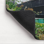 The Abandoned TSS Duke of Lancaster Ship Muismat (Hoek)