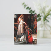 The Accolade - Border Collie (Z) Briefkaart (Staand voorkant)