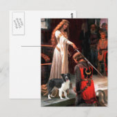 The Accolade - Border Collie (Z) Briefkaart (Voorkant / Achterkant)