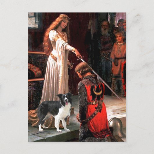 The Accolade - Border Collie (Z) Briefkaart (Voorkant)