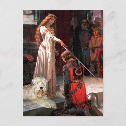 The Accolade - Wheaten Terrier 1 Briefkaart (Voorkant)