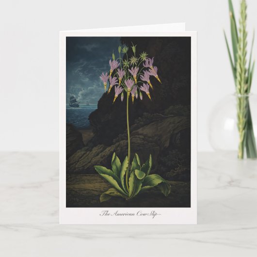 The American Cow-Slip — Modern Botanical Reinterpr Kaart (Voorkant)