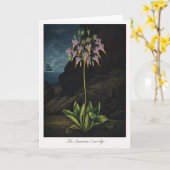 The American Cow-Slip — Modern Botanical Reinterpr Kaart (Gele Bloem)