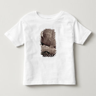 The Ancient Ruins of the Canyon de Chelle, 1873 (a Kinder Shirts