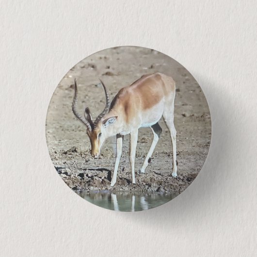 The antelope,  ronde button 3,2 cm (Voorkant)