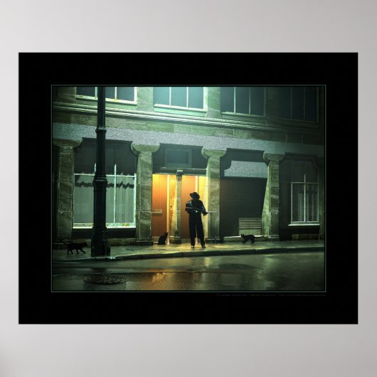 The assassin and his cats poster (Voorkant)