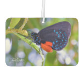 The Atala Luchtverfrisser (Achterkant)