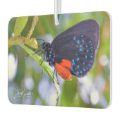 The Atala Luchtverfrisser (Links)