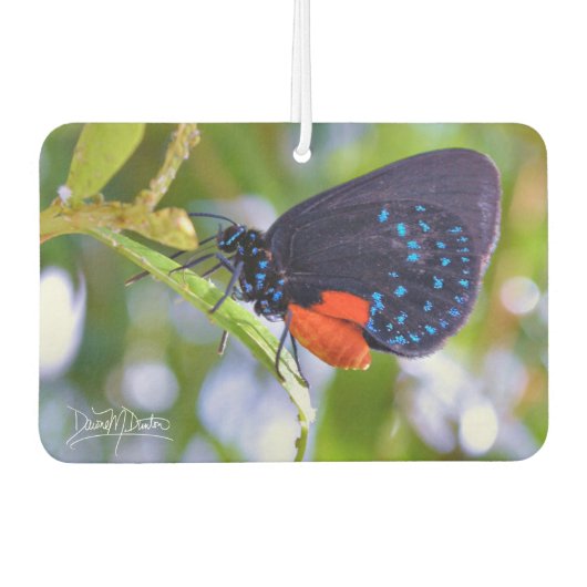 The Atala Luchtverfrisser (Voorkant)