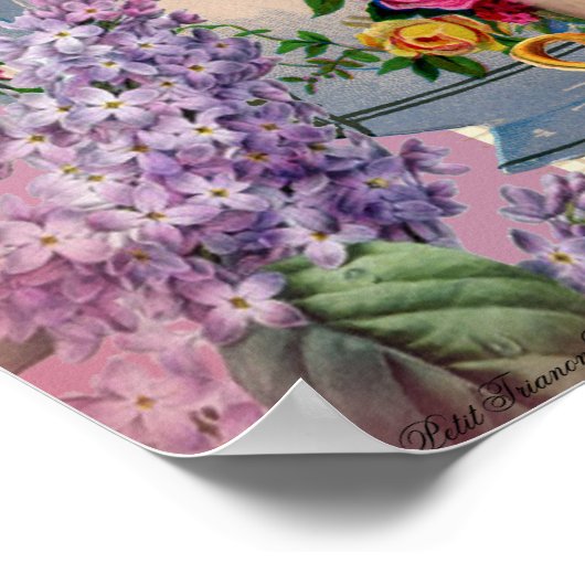 Thé au Petit Trianon - roos Poster (Hoek)