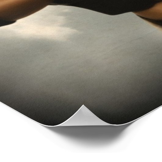 The Aviator Poster (Hoek)