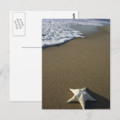 The Beach Post Card Briefkaart (Voorkant / Achterkant)