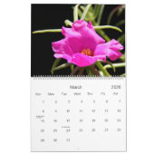 The Beauty of a Garden, 2014 Flower Calendar Kalender (Mar 2026)