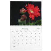 The Beauty of a Garden, Flower Calendar 2016 Kalender (Feb 2027)