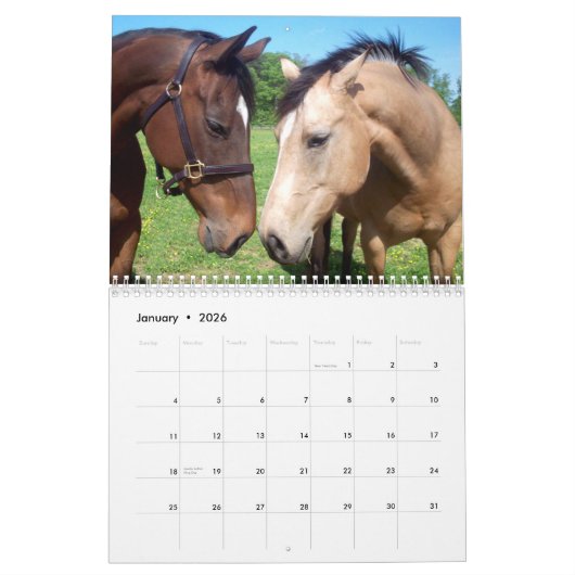 The Beauty of Horses 2011 Flip Kalender (Jan 2026)
