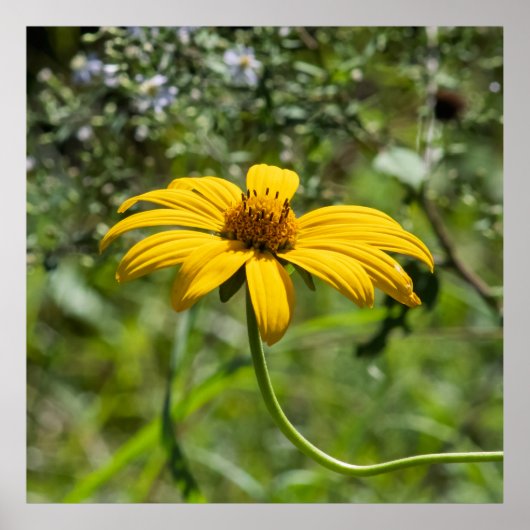 The Bend Floral Poster (Voorkant)