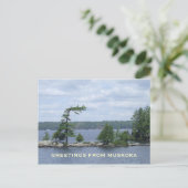 The Bent Tree, Muskoka, Ontario, Canada Briefkaart (Staand voorkant)