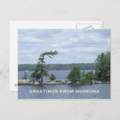 The Bent Tree, Muskoka, Ontario, Canada Briefkaart (Voorkant / Achterkant)