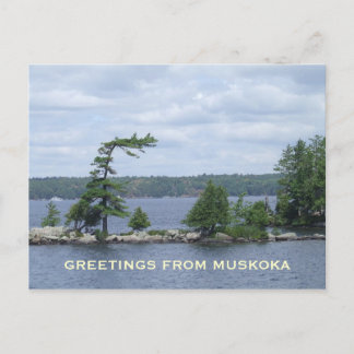 The Bent Tree, Muskoka, Ontario, Canada Briefkaart