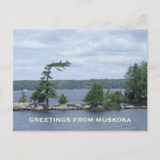 The Bent Tree, Muskoka, Ontario, Canada Briefkaart (Voorkant)