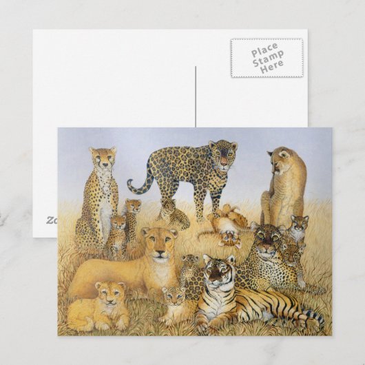 The Big Cats Briefkaart (Voorkant / Achterkant)