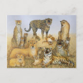The Big Cats Briefkaart (Voorkant)