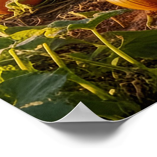 The Big One Poster (Hoek)