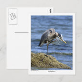 "The Big Scratch" bericht Kaarten (Voorkant / Achterkant)