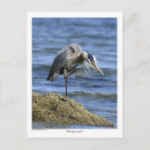 "The Big Scratch" bericht Kaarten (Voorkant)