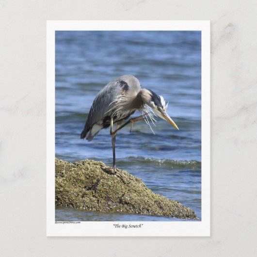 "The Big Scratch" bericht Kaarten (Voorkant)