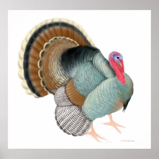 The Big Turkey Print (Voorkant)