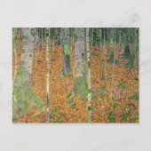 The Birch Wood, 1903 Briefkaart (Voorkant)