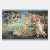 The Birth of Venus by Sandro Botticelli Inpakpapier Vel (Voorkant)